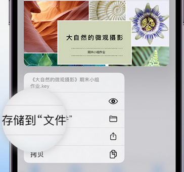 察哈尔右翼后apple维修中心分享iPhone文件应用中存储和找到下载文件