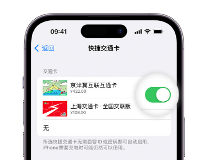 察哈尔右翼后apple维修点分享iPhone上更换Apple Pay快捷交通卡手绘卡面 