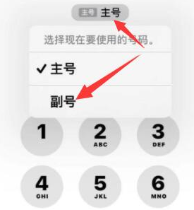 察哈尔右翼后苹果14维修店分享iPhone 14 Pro Max使用副卡打电话的方法 