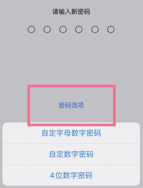 察哈尔右翼后苹果14维修分享iPhone 14plus设置密码的方法 