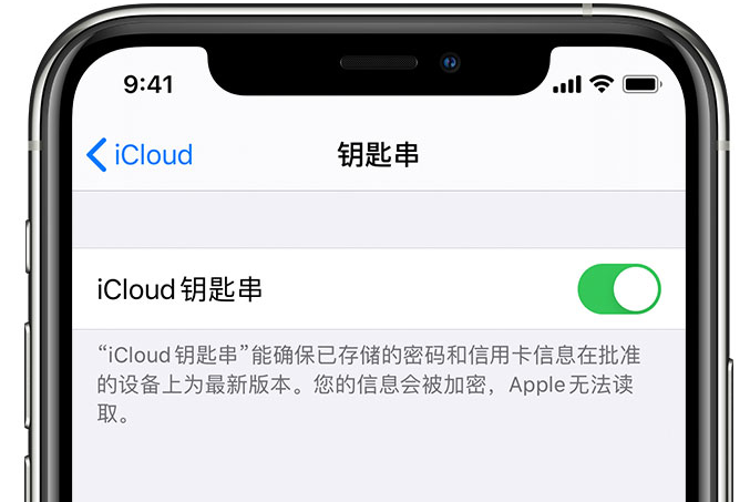 察哈尔右翼后苹果手机维修分享在 iPhone 上开启 iCloud 钥匙串之后会储存哪些信息 