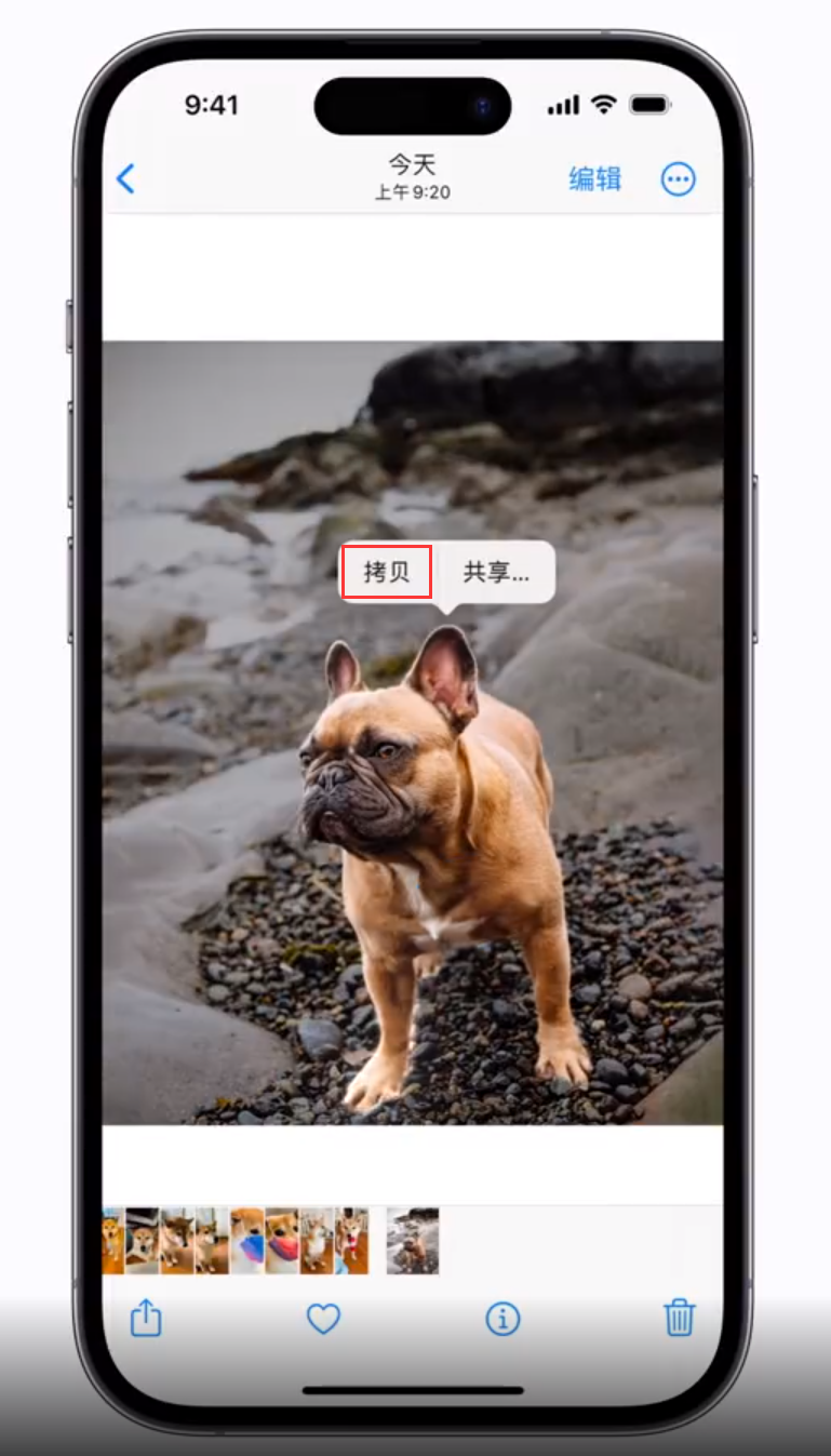 察哈尔右翼后苹果手机维修分享 iOS 16 自带一键抠图功能 