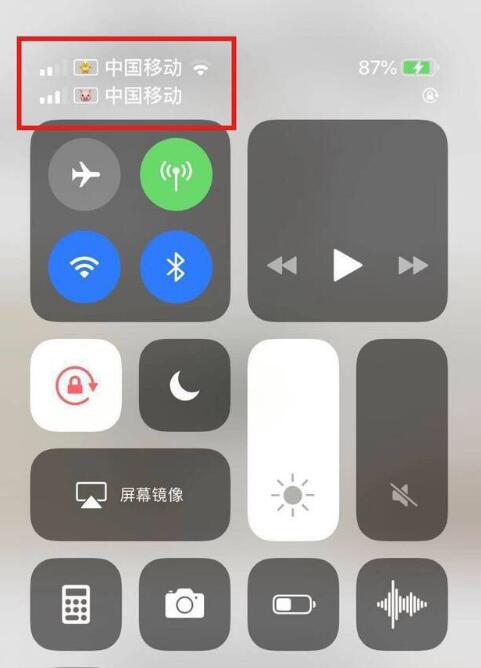 察哈尔右翼后苹果手机维修分享为 iPhone 12 双卡设置标签 